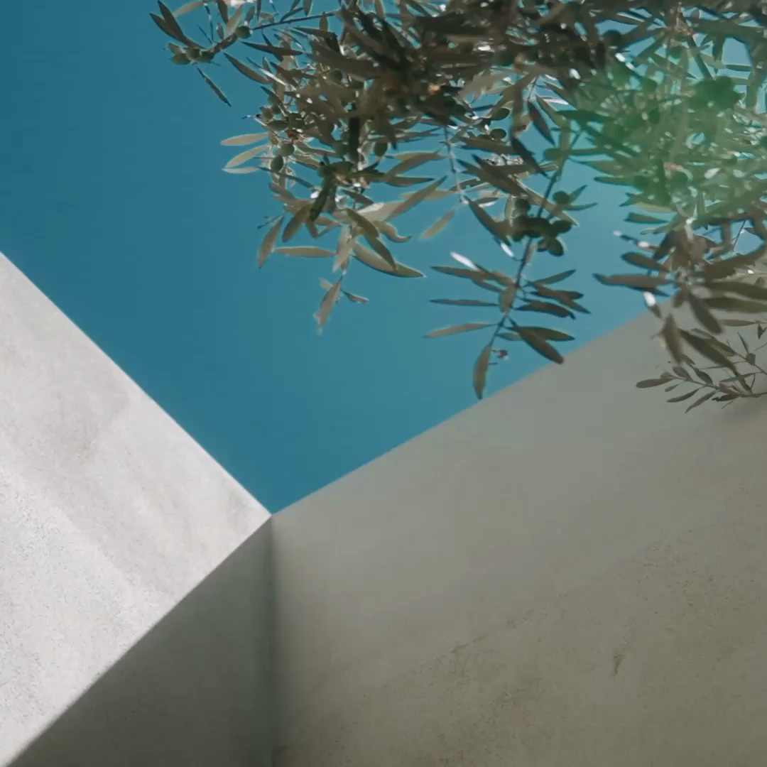 Delia Lachance | GUBI